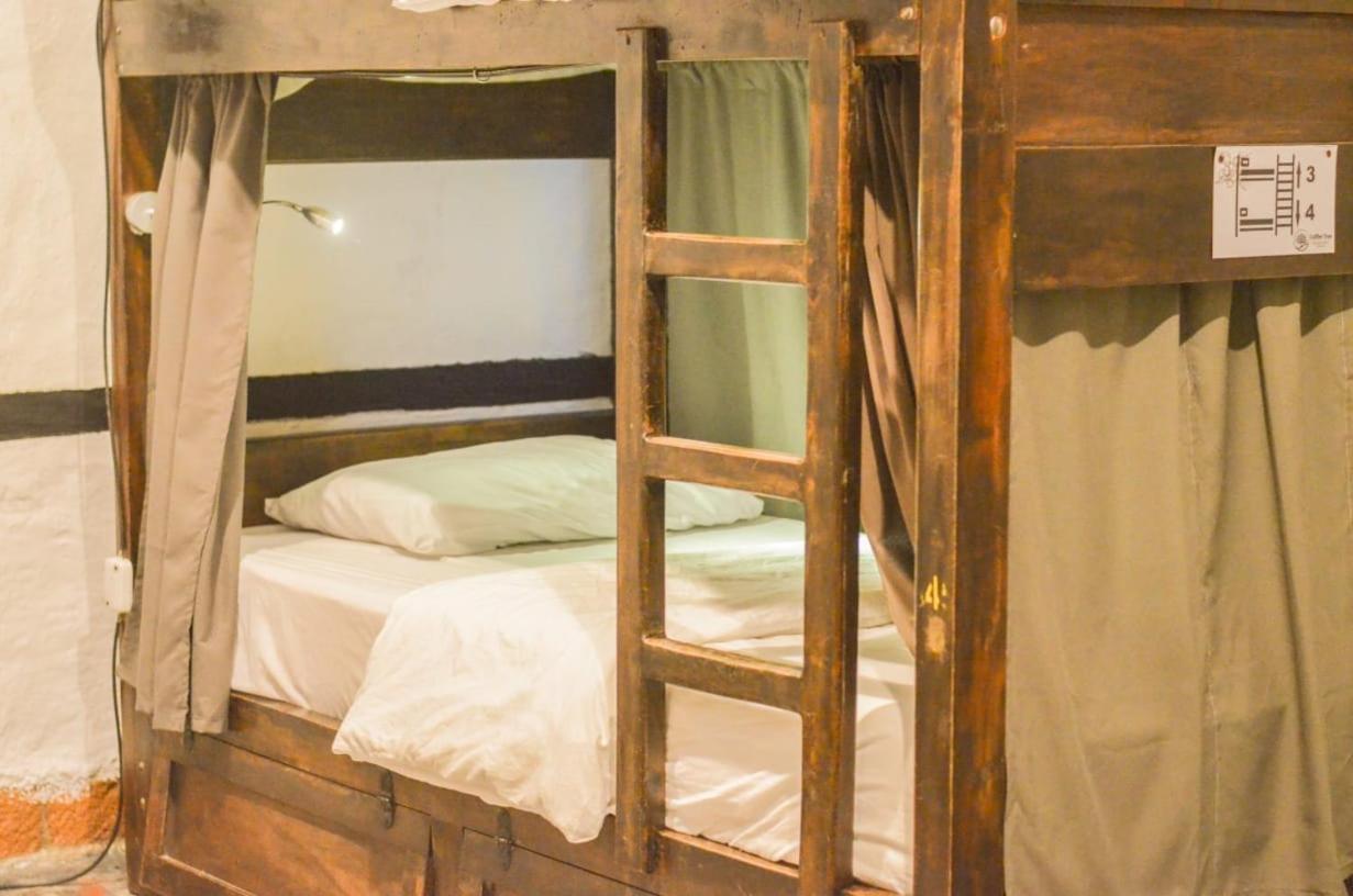 Coffee Tree Boutique Hostel 살렌토 외부 사진