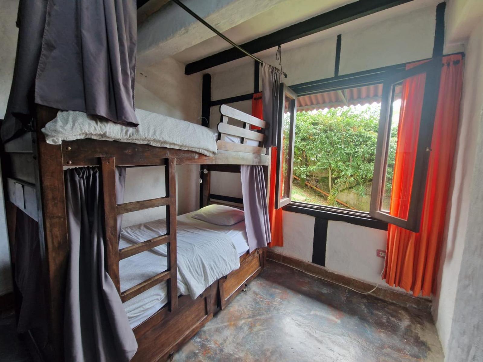 Coffee Tree Boutique Hostel 살렌토 외부 사진