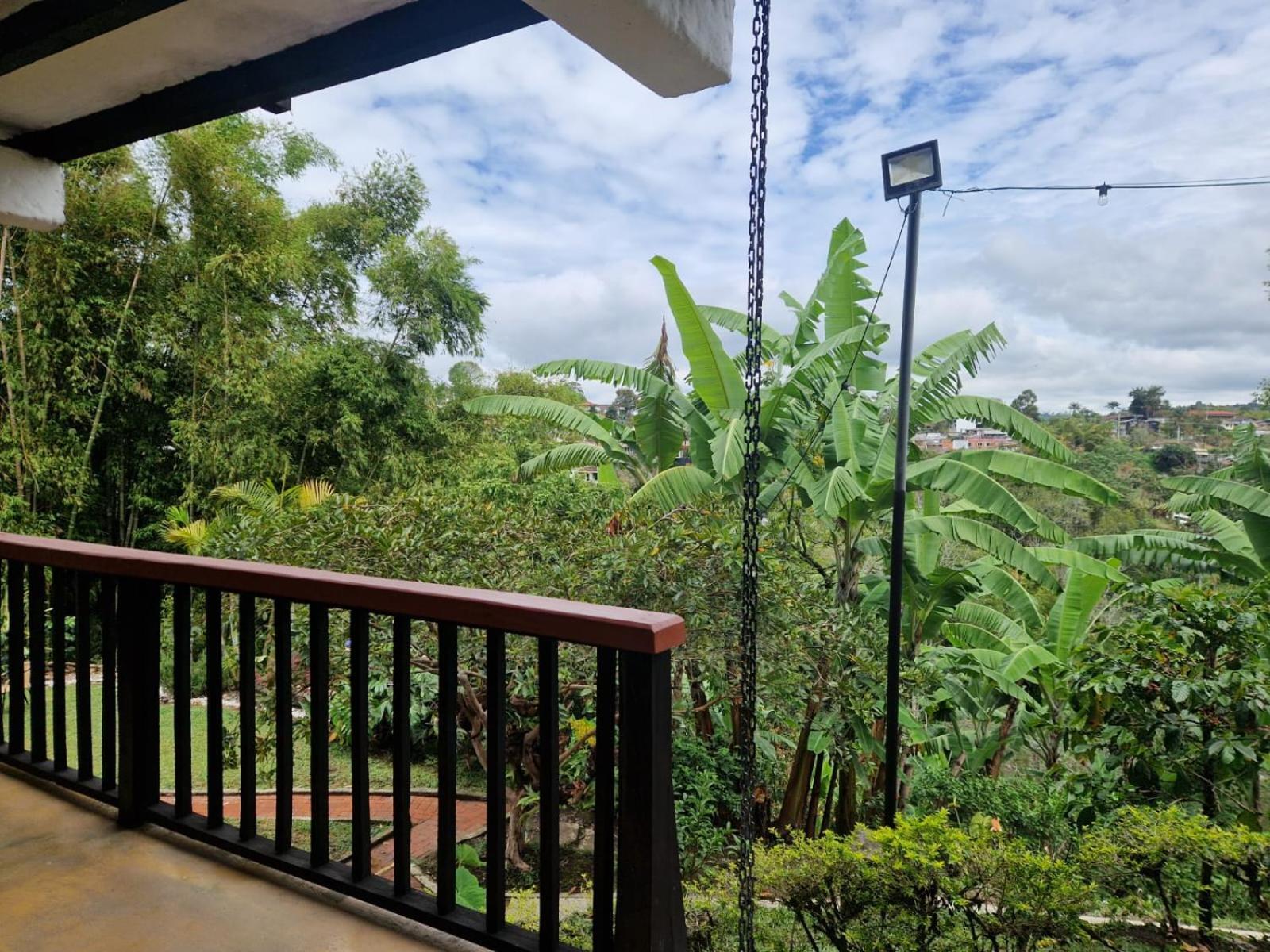Coffee Tree Boutique Hostel 살렌토 외부 사진