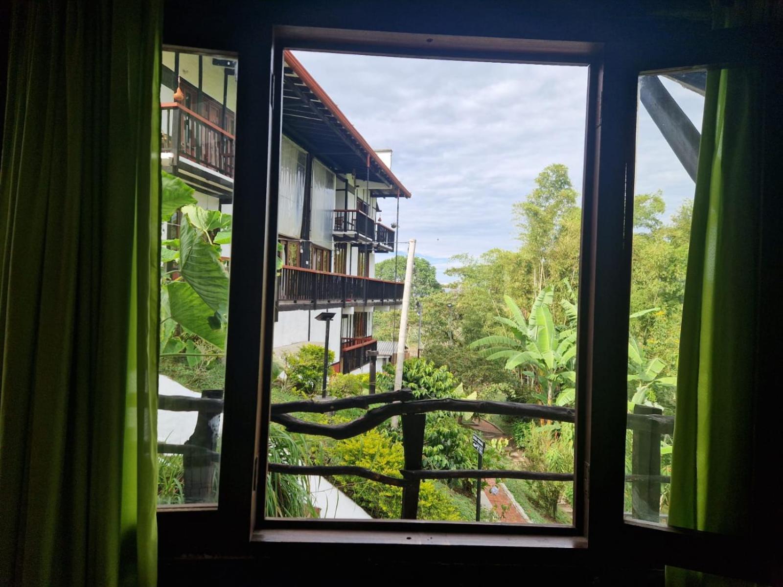 Coffee Tree Boutique Hostel 살렌토 외부 사진