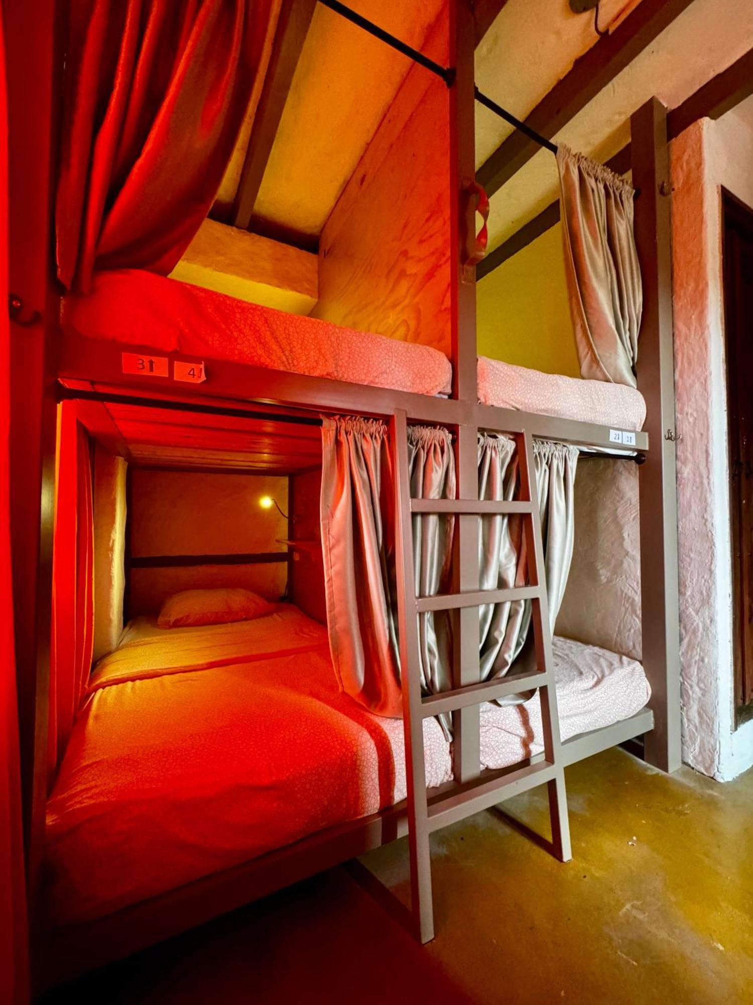 Coffee Tree Boutique Hostel 살렌토 외부 사진